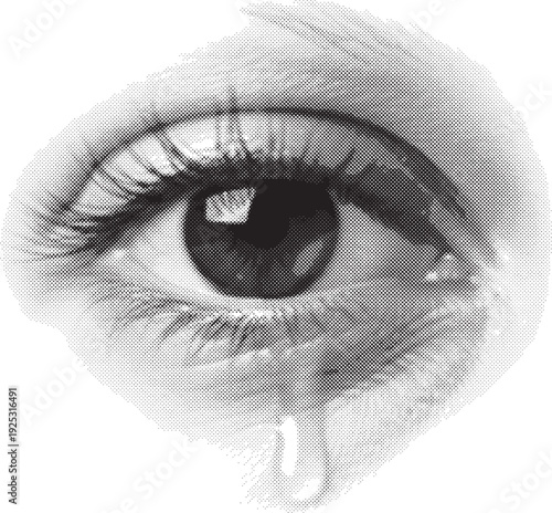 Human eye close up monochrome pixel art illustration