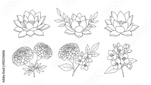 Elegant collection of hand-drawn botanical illustrations featuring various blooming flowers like serene lotus blossoms, intricate marigolds, and delicate cherry flowers, ideal for decorative designs