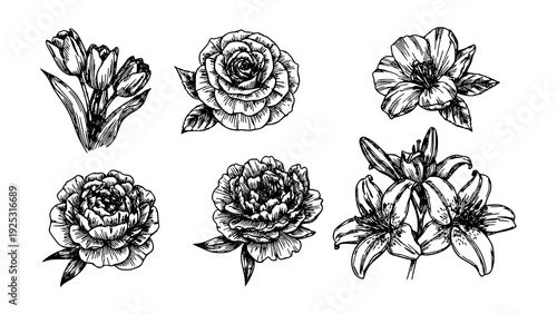 A charming collection of vintage hand-drawn floral illustrations, showcasing a variety of exquisite blossoms in black and white