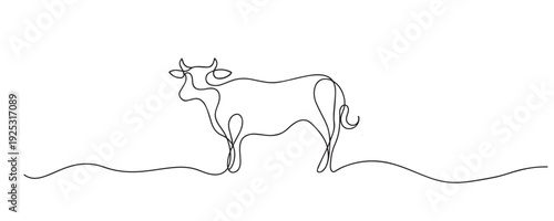 Hand drawn continuous line illustration of a cow standing calmly. Single line artwork representing livestock, agriculture, rural life, and farm animal concepts.
