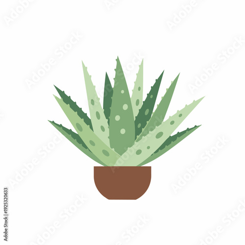 Vector illustration of a healthy green aloe vera plant in a brown pot on a white background, a beautiful and resilient succulent