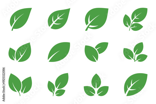 Leaf Sprout Icon Vector Set, Green Leaf Plant Symbol, Eco Friendly Logo, Simple Graphic Illustration, Vegan Herb Sign, Organic Natural Health Vector.