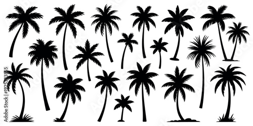 Black Palm Tree Silhouette Set, Vector Illustration Isolated on Transparent Background