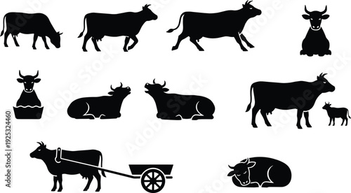 Comprehensive Cow Silhouette Set Featuring Vector Symbols of Cattle Grazing Walking Resting Nursing Calf and Pulling Bull Cart