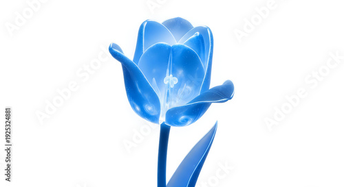 Wallpaper Mural A vivid blue ceramic tulip blooming elegantly against a stark white background Torontodigital.ca