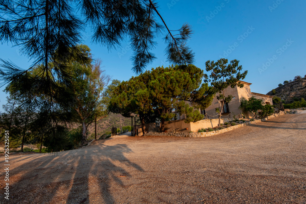 Fototapeta premium Rural house in countryside surrounded by pine trees