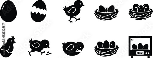 Comprehensive Poultry Hatching Icon Set Featuring Vector Symbols of Eggs Chicks Nests Cracked Shells and Digital Incubator