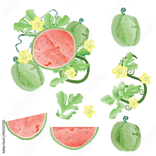 Watercolor watermelon collection with bouquet and separate slices