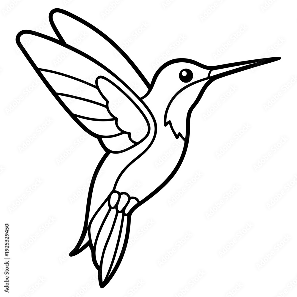 Obraz premium Hummingbird line art vector