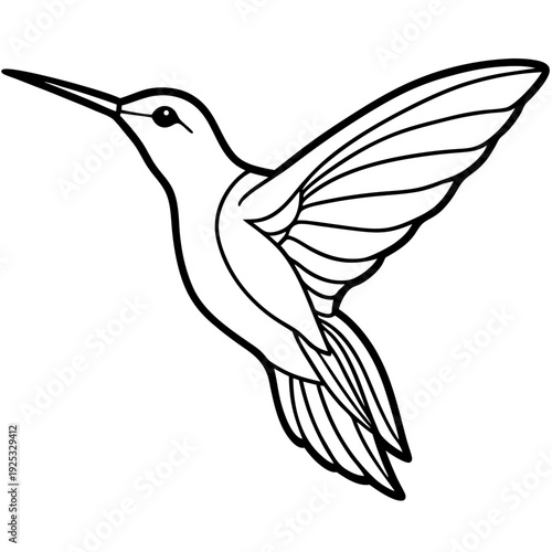 Hummingbird line art vector