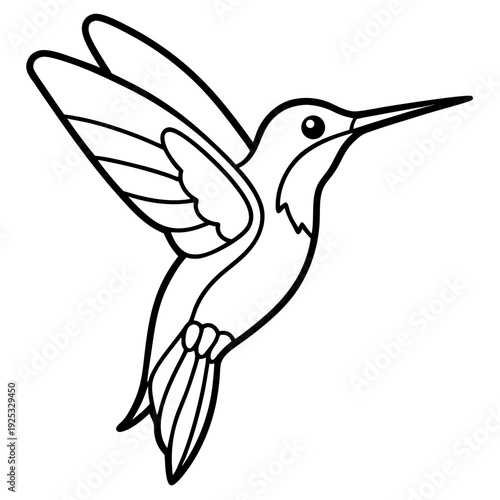Hummingbird line art vector