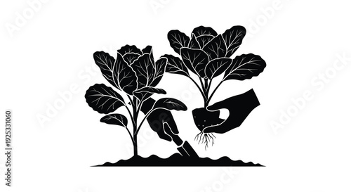 A nurturing hand delicately plants a seedling into rich soil showcasing the beauty of growth a silhouette