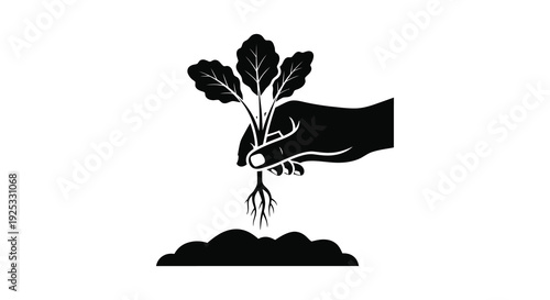 A stark black silhouette depicts a hand holding a bunch of beets with roots emerging from soil