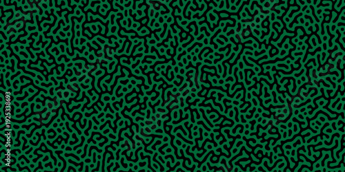 Abstract truing organic wallpaper Turing reaction diffusion monochrome seamless pattern .Monochrome Turing reaction background .Natural seamless line pattern. Linear design with biological shapes