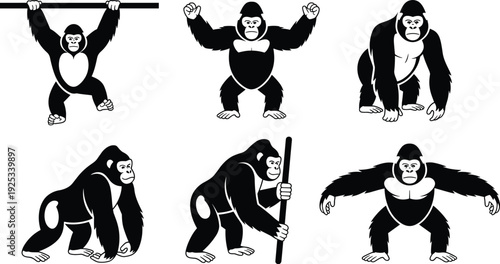 Black and white of gorillas in various poses animals wildlife 1 primates
