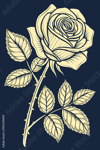 Rose Bloom Stem Leaves Gold Navy Engraving Style Vector Illustration Dark Background