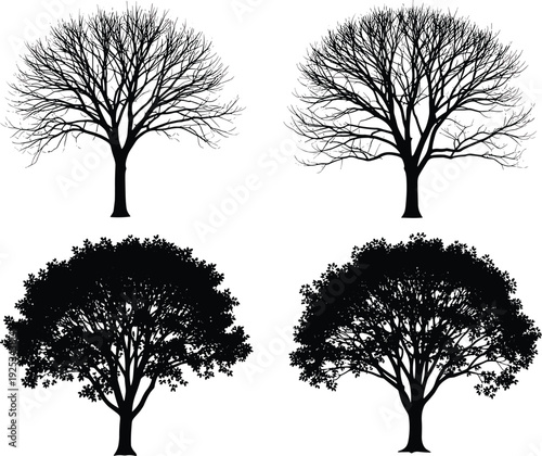 Black silhouettes of trees with and without leaves on white background