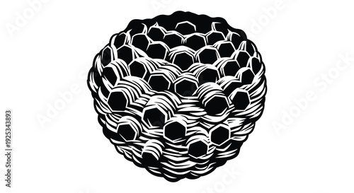 A striking black and white illustration depicts a spherical honeycomb structure showcasing intricate patterns and a bold silhouette high quality