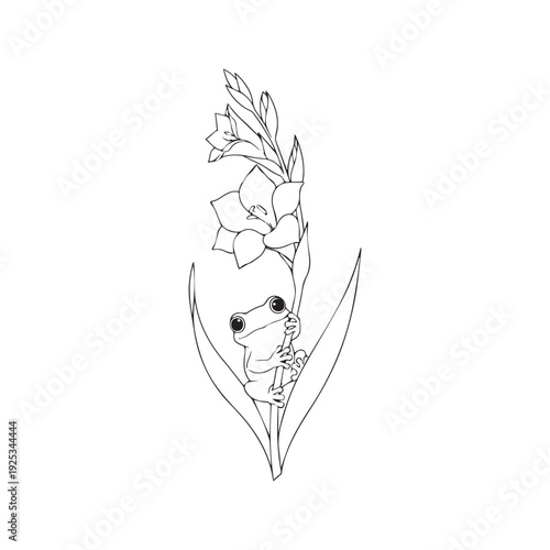 Hand drawn vector illustration of a cute tree frog climbing a lily flower stem, black and white line art.
