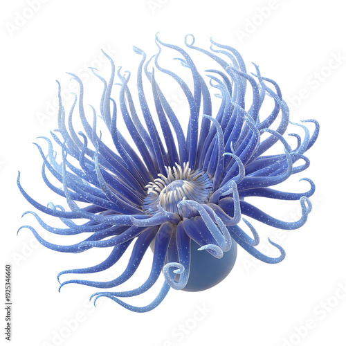 PNG of A stunning blue sea anemone with flowing tentacles, exuding tranquility and beauty.