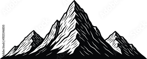 Bald eagle flight silhouette vector illustration, majestic wildlife artwork with spread wings, decorative graphics, freedom and strength motifs