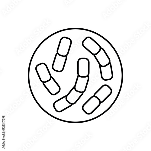 icon diplococcus structure with paired bacterial cells in a petri dish, isolated against a clean background.