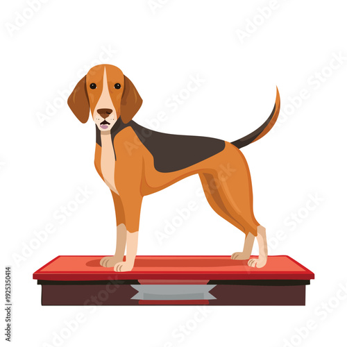 Dog on a red platform isolated on a white background