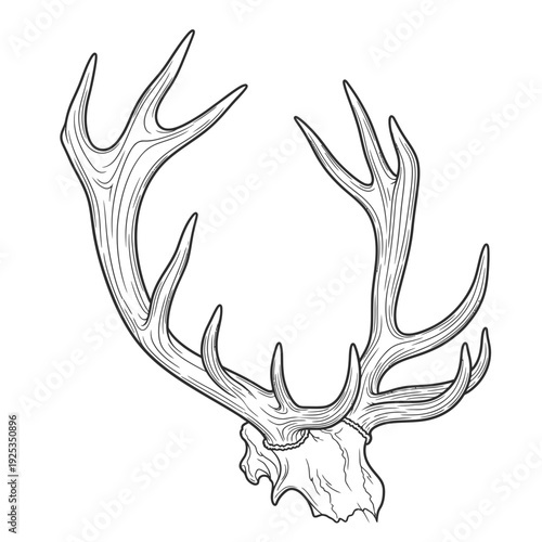 A serene high-angle shot captures a minimalist modern living room featuring a plush grey sofa and wooden accents bathed in soft natural morning light