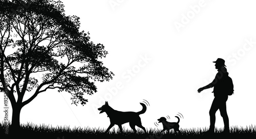 Silhouette of a woman walking two dogs on a leash under a tree grass