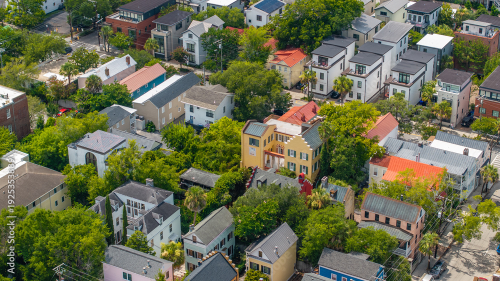 Fototapeta premium Panoramic Aerial view of stunning houses in neighborhood landscapes of coastal Charleston, South Carolina downtown skyline showcasing lowcountry metropolitan scenery