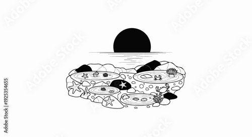 Rocky tide pools with marine life and a setting sun over the ocean