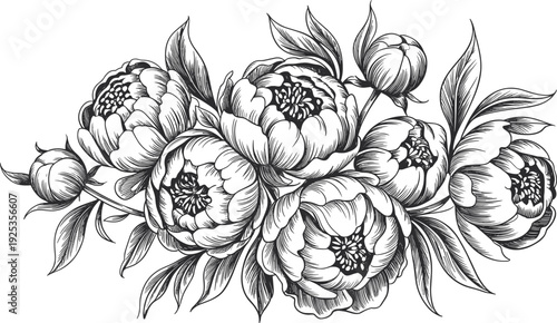 Detailed black and white peony flower bouquet illustration, botanical drawing, floral tattoo design, decorative art, intricate petals, leaves, stamen structures