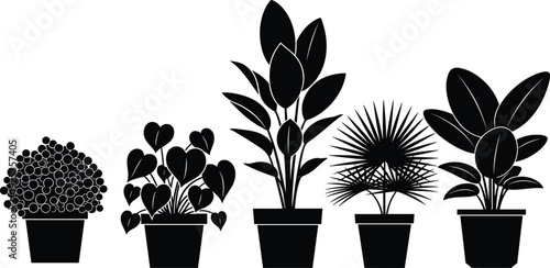 Collection of Minimalist Black Silhouette Houseplants in Pots Featuring Various Leaf Shapes Like Monstera Palm and Rubber Plant for Modern Interior Design Graphic Elements