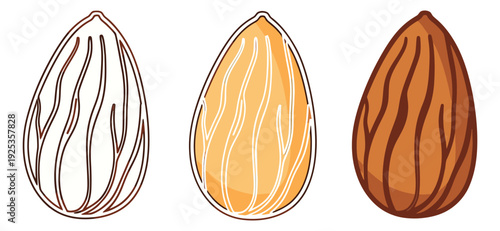 Hand drawn almond illustration set featuring outline, partially colored, and full color nuts for food and healthy eating concepts