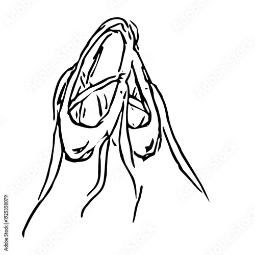 Elegant Ballet Pointe Shoes Line Art vector illustration