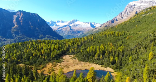 alpine meadow in the alps