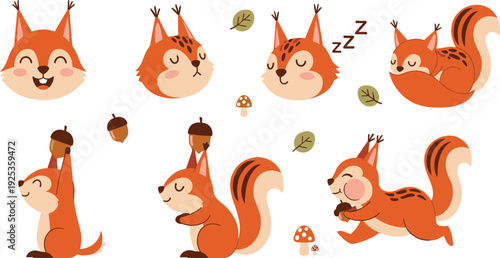 Cute Squirrel Cartoon Character Vector Collection Kawaii Forest Animal in Different Poses with Acorn for Kids Nursery Design.