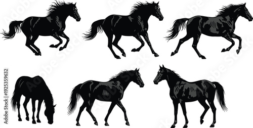 Black horse silhouette set running and standing poses detailed equine vector illustration isolated on white background