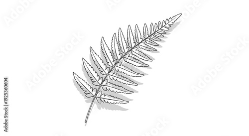 Detailed Illustration of a Fern Frond.