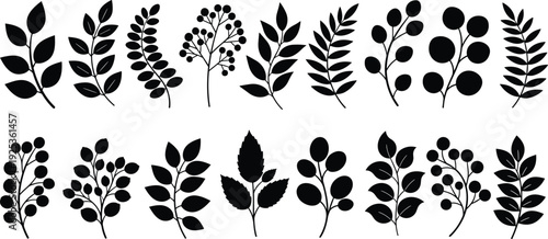 Collection of black leaf silhouettes featuring various branch shapes including oval leaves pointed foliage and berry stems on white background isolated