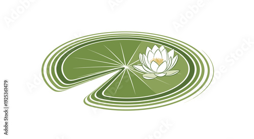 Water Lily on Green Leaf Illustration.