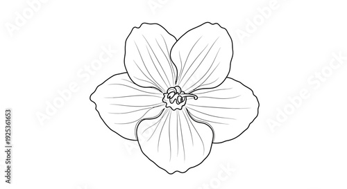 Black and White Line Drawing of a Single Five-Petal Flower