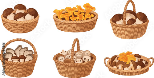 Forest Mushroom in Wicker Basket Vector Collection Wild Edible гриб Harvest for Autumn Cooking Organic Food and Farm Market Design.