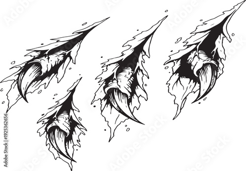 Emphasizes the bird-of-prey or dinosaur-like sharpness of the curved claws.