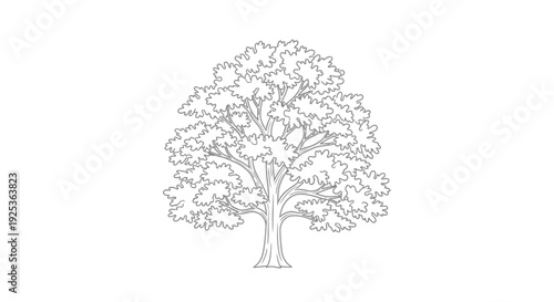 Outline Drawing of a Majestic Oak Tree with Lush Foliage