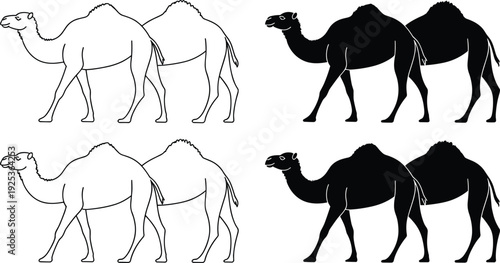 Black and white camel silhouette set featuring walking dromedary and Bactrian camels isolated vector illustration collection in minimal flat design style