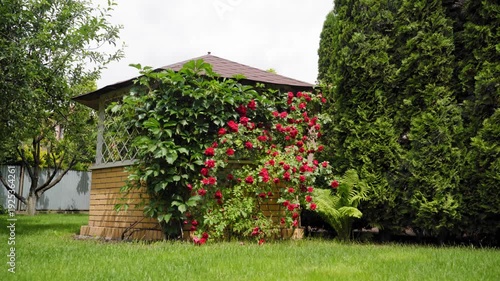Charming outdoor pavilion gazebo surrounded by lush greenery, brick courtyard, tranquil residential yard