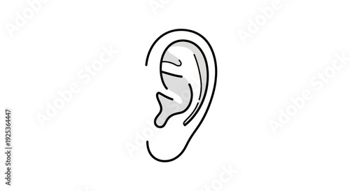 Minimalist Line Art Illustration of a Human Ear, Simple Medical Anatomy Icon