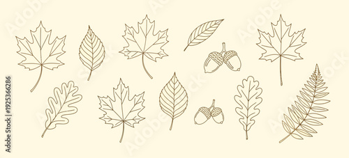 Whisk_aa802597b312766be404b1162927952fdr