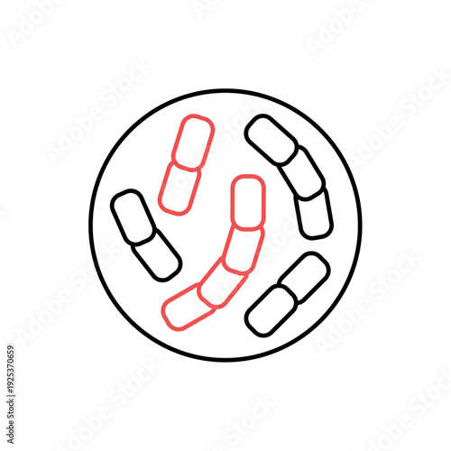 icon diplococcus structure with paired bacterial cells in a petri dish, isolated against a clean background.